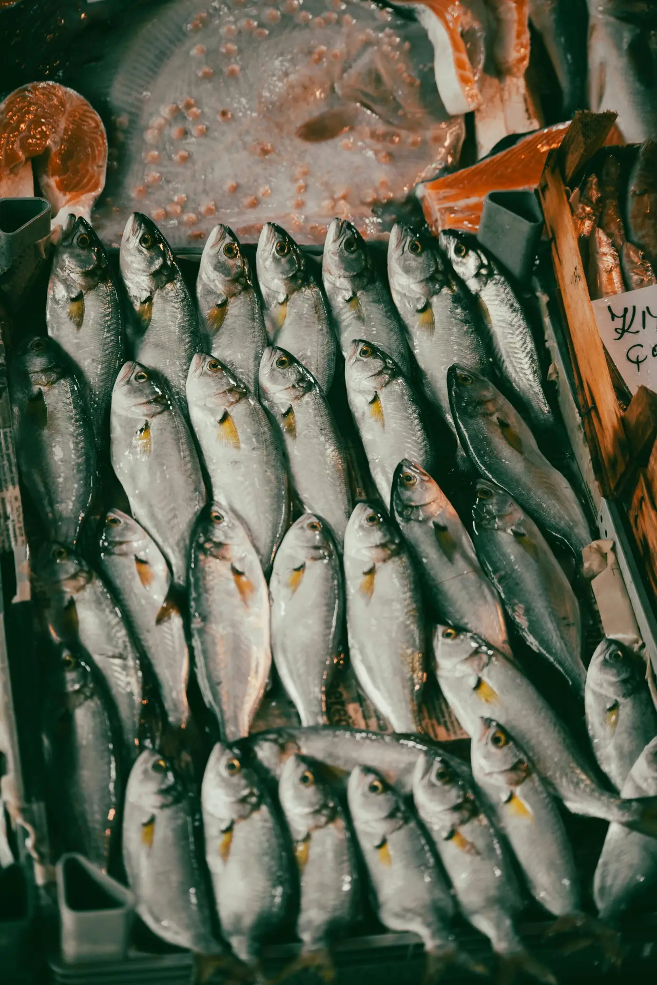 pexels-merictuna-31643459